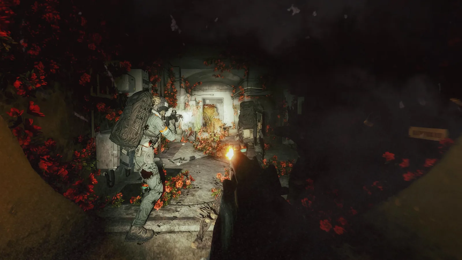 Official Active Matter anomaly encounter visual